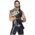 Seth Rollins