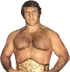 Bruno Sammartino