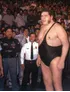 Andre the Giant (520 lbs)