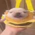 Pibble Burger