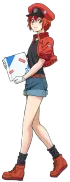 AE3803 Red Blood Cell