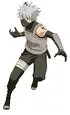 Kakashi ANBU Uniform