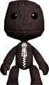 Sackboy 5
