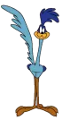 Roadrunner