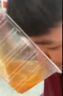 อาหร่อยยย