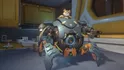 Hamster