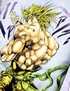 DIO