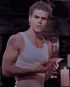 Stefan Salvatore