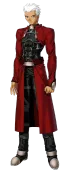 Archer/Future Shirou Emiya