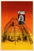 51281 Planet Of The Apes 0 2000 0 3000 Crop