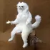 Why