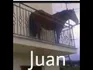 Juan