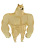 Swole Doge