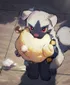 poochyena