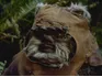 Wicket W. Warrick