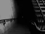 Scp087(scp)