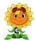 Solar Flare