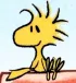Woodstock