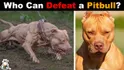 2 pits