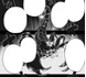 1745670161908 IMG 5594