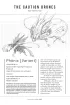 Phonix Variant