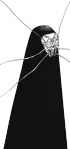 Kurourushi