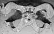 Imotako