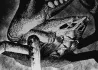 Earthbound Spirit Crab Infobox