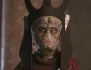 1740922746724 Nute