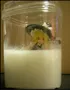 image_2025-05-01_215656839