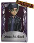 ShuichiAkai