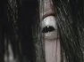 Sadako(the ring)