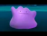 Ditto