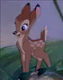 Féline - Bambi