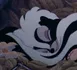 Fleur - Bambi