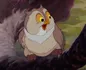 Monsieur Hibou - Bambi