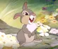 Panpan - Bambi