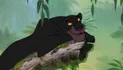 Bagheera - Le Livre de la Jungle