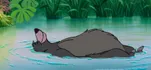 Baloo - Le Livre de la Jungle