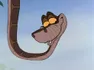 Kaa - Le Livre de la Jungle