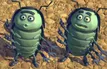 Chivap et Chichi -1001 Pattes