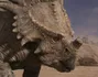 Eema - Dinosaure