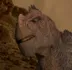 Kron - Dinosaure