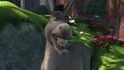 L'âne - Shrek