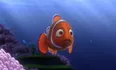Corail - Le Monde de Nemo