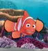 Marin - Le Monde de Nemo