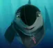 Lenny - Gang de requins