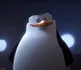 Commandant - Madagascar