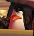 Kowalski - Madagascar