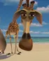 Melman - Madagascar